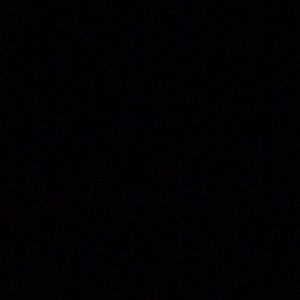 Meet your Posher, Oscar